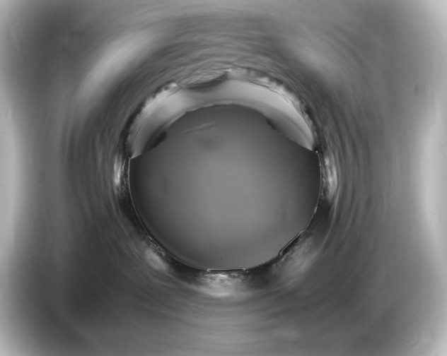 X0000087050239200705021203