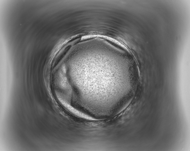 X0000087050241200705021202