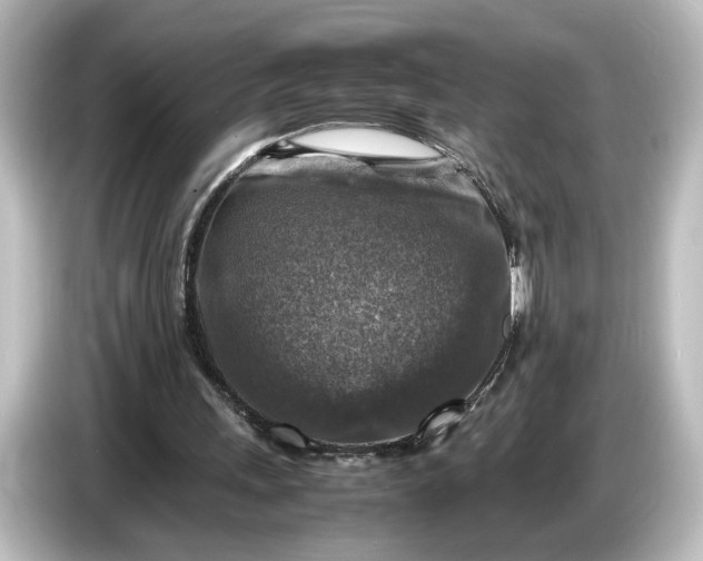 X0000087050243200705021202