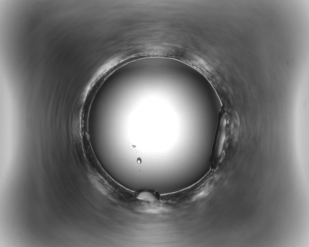 X0000087050244200705021202