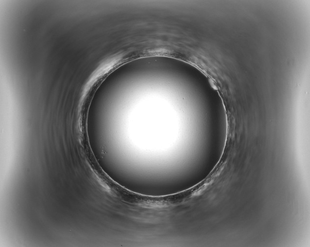 X0000087050245200705021202