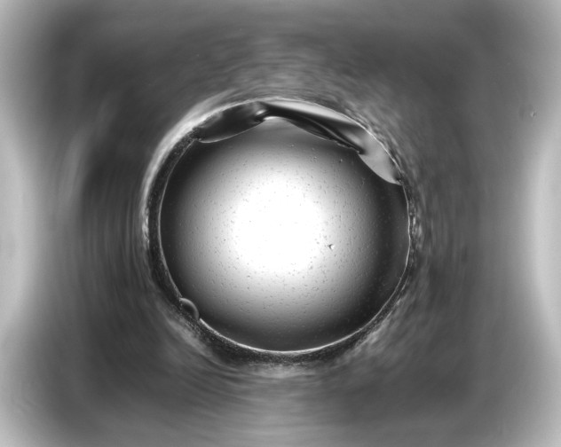 X0000087050246200705021202