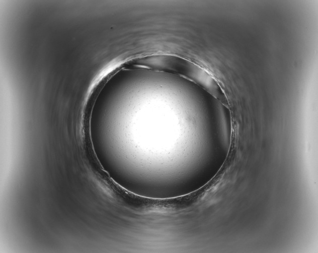 X0000087050248200705021202