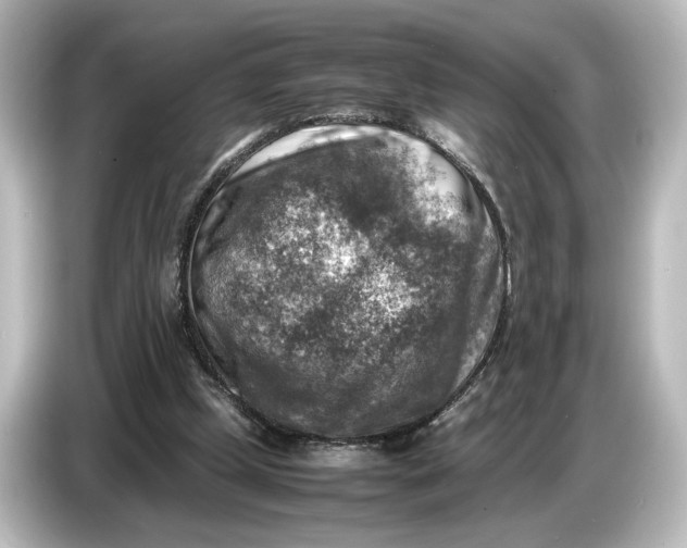 X0000087050249200705021202