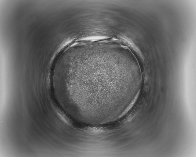 X0000087050250200705021202