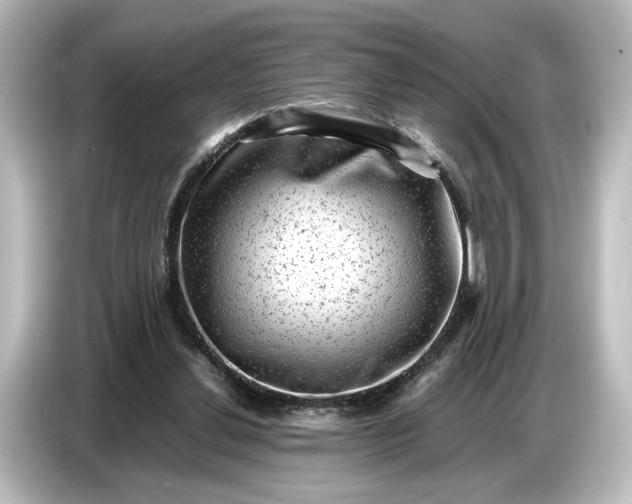 X0000087050252200705021202