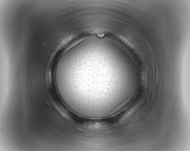 X0000087050254200705021202