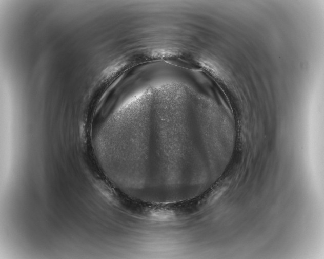 X0000087050258200705021202