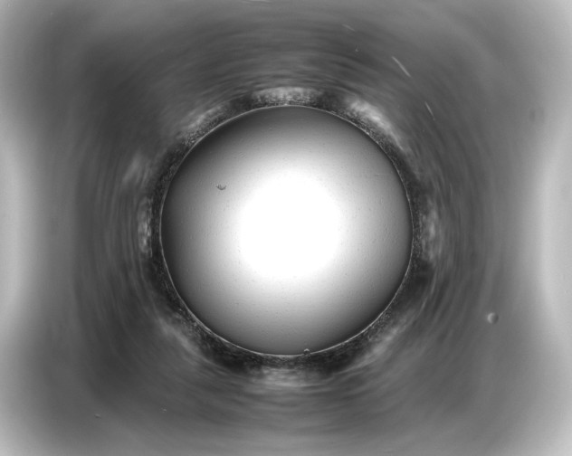 X0000087050259200705021202