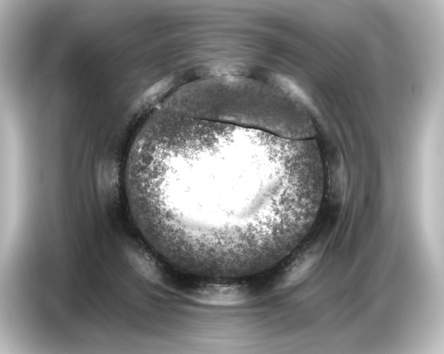 X0000087050260200705021202