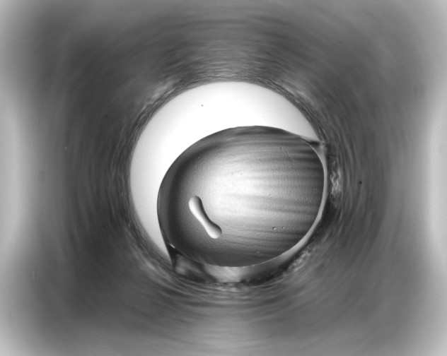 X0000087050264200705021202