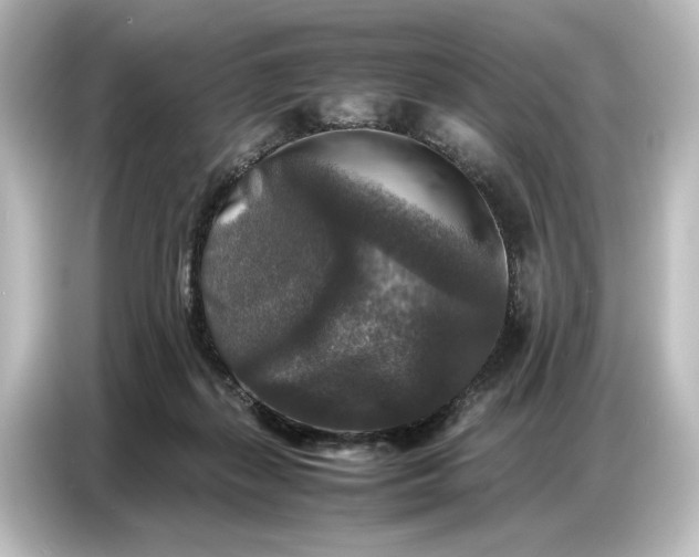 X0000087050267200705021202