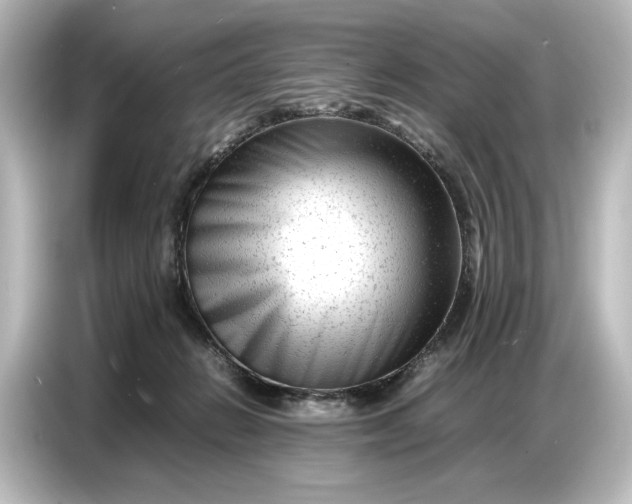 X0000087050270200705021202