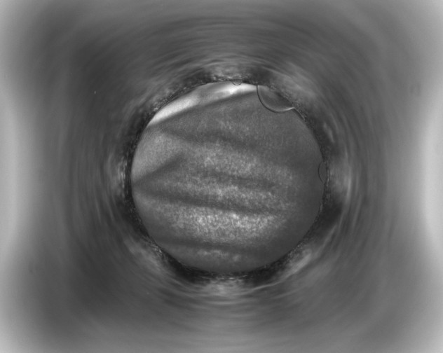 X0000087050271200705021202