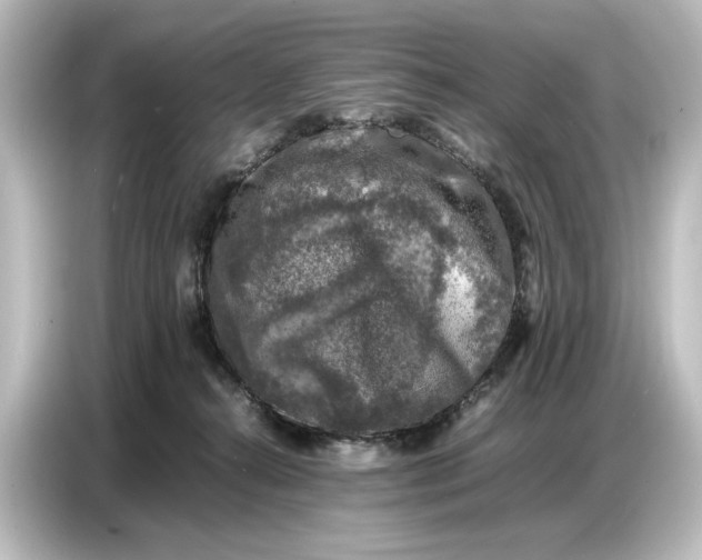 X0000087050272200705021202