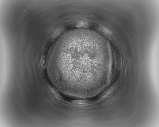 X0000087050273200705021202