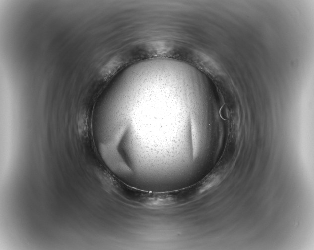 X0000087050274200705021202