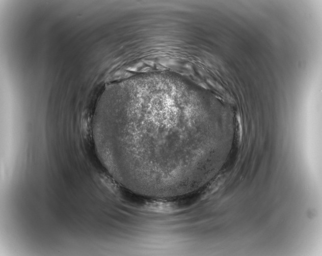 X0000087050276200705021202