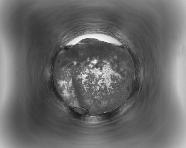 X0000087050277200705021202