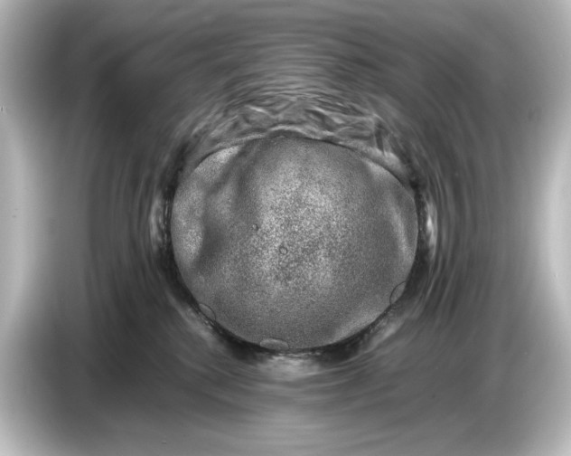 X0000087050280200705021202