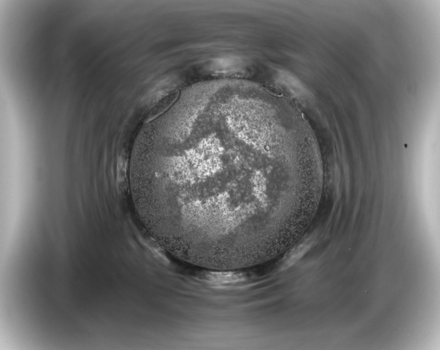 X0000087050281200705021202