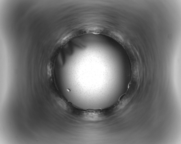 X0000087050282200705021202