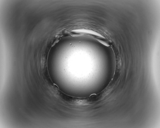 X0000087050283200705021202