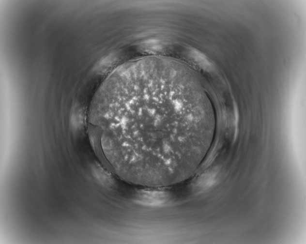 X0000087050284200705021202