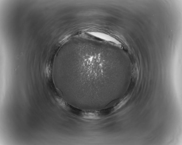 X0000087050285200705021202