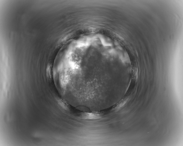 X0000087050286200705021202