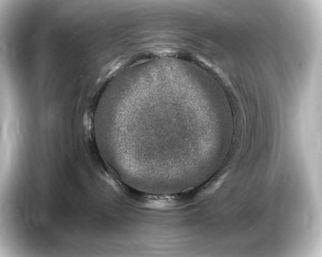 X0000087050288200705021203