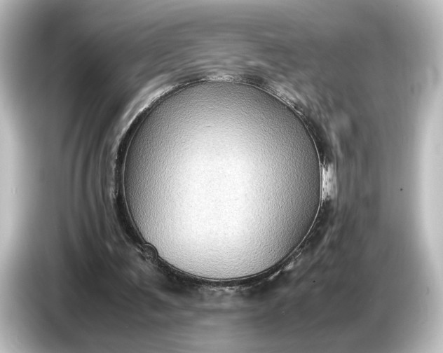 X0000087050291200705021202