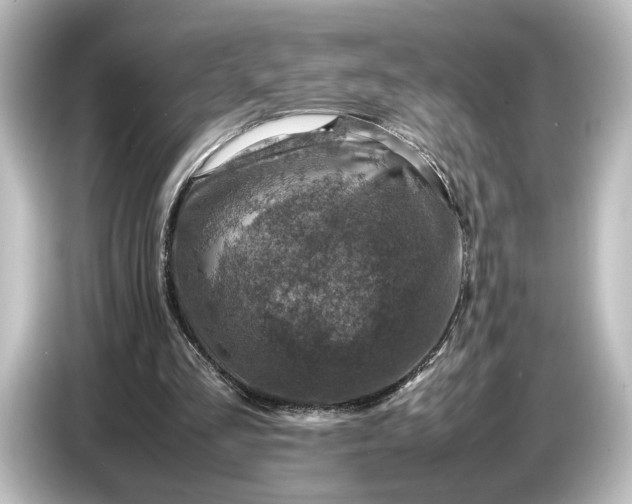 X0000087050293200705021202