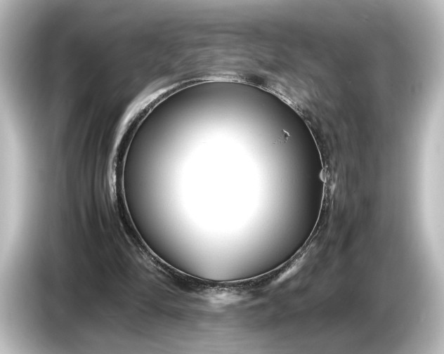 X0000087050294200705021202