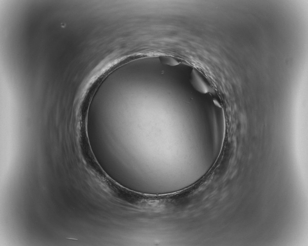 X0000087050295200705021202