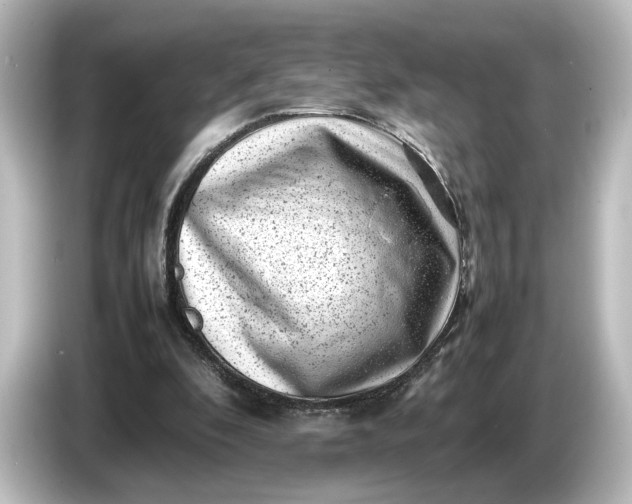 X0000087050296200705021202