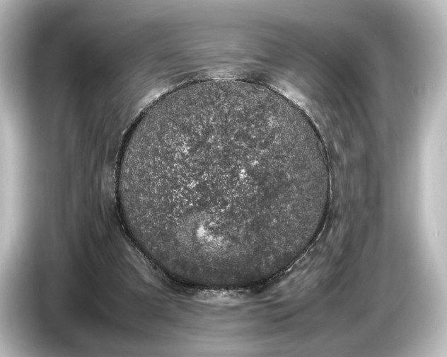 X0000087050297200705021202