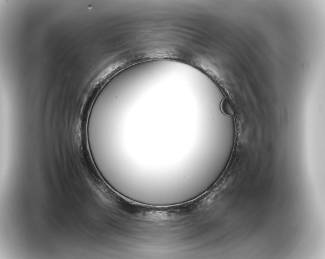 X0000087050298200705021202