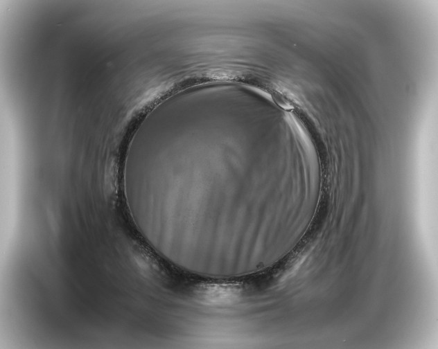 X0000087050303200705021202