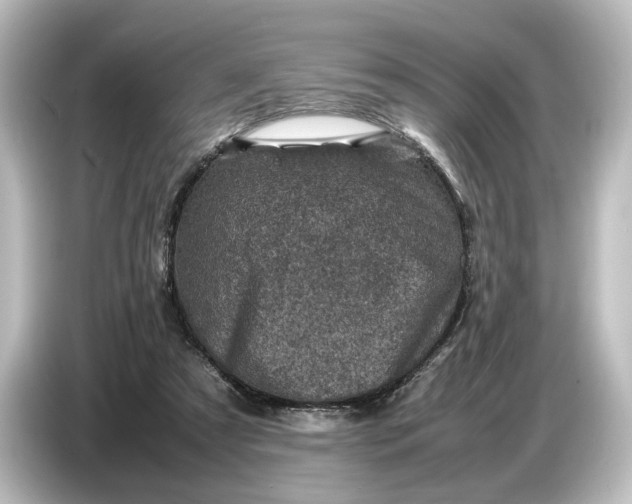 X0000087050305200705021202