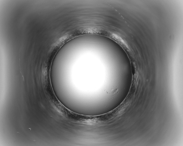 X0000087050306200705021202