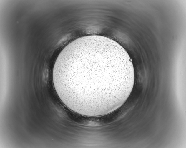 X0000087050308200705021202