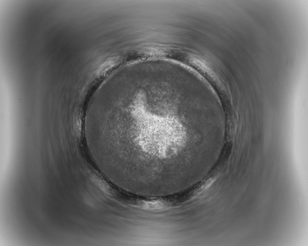 X0000087050309200705021202