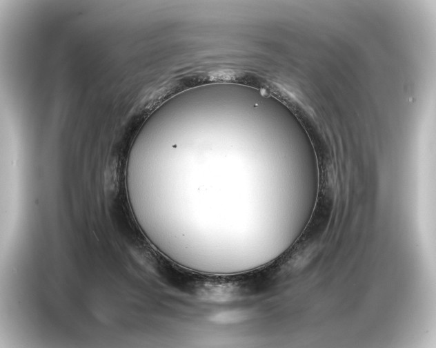 X0000087050311200705021202