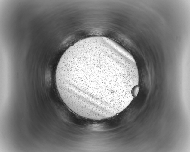 X0000087050312200705021202