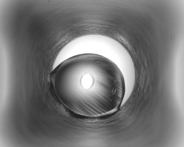 X0000087050313200705021202