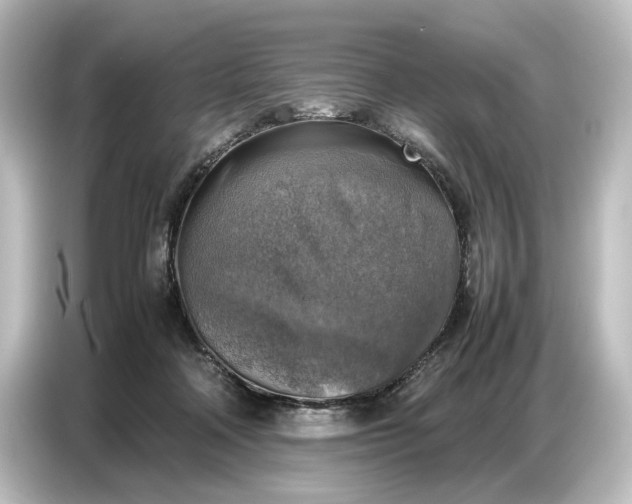 X0000087050314200705021202