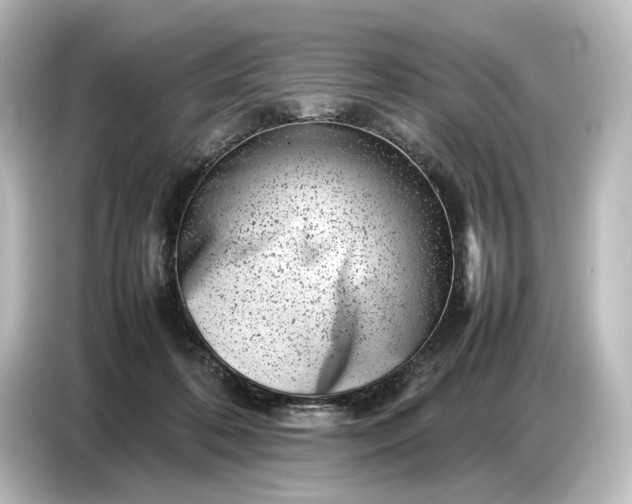 X0000087050316200705021202