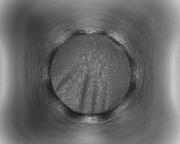 X0000087050317200705021202