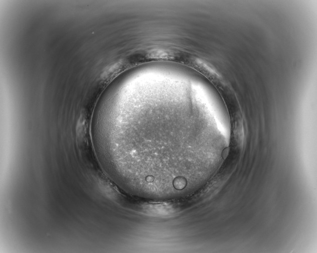 X0000087050322200705021201